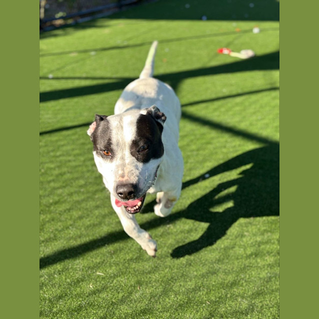 Photo of Reg Imp 1189