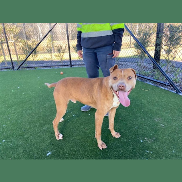 Photo of Hugo Imp 21