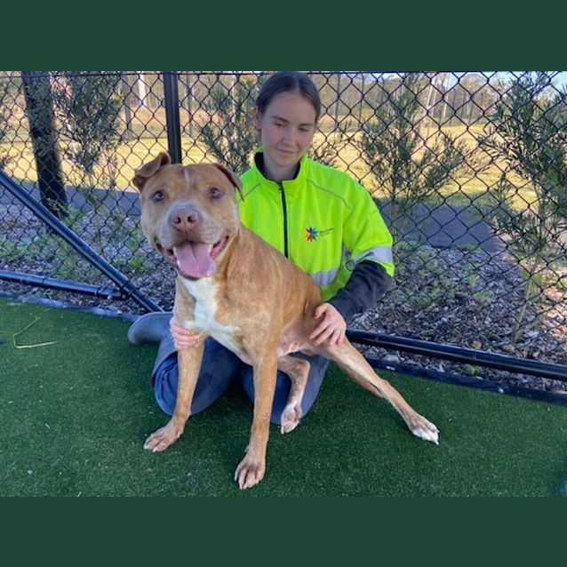 Photo of Hugo Imp 21