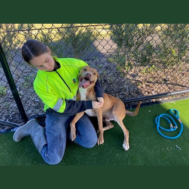 Photo of Hugo Imp 21