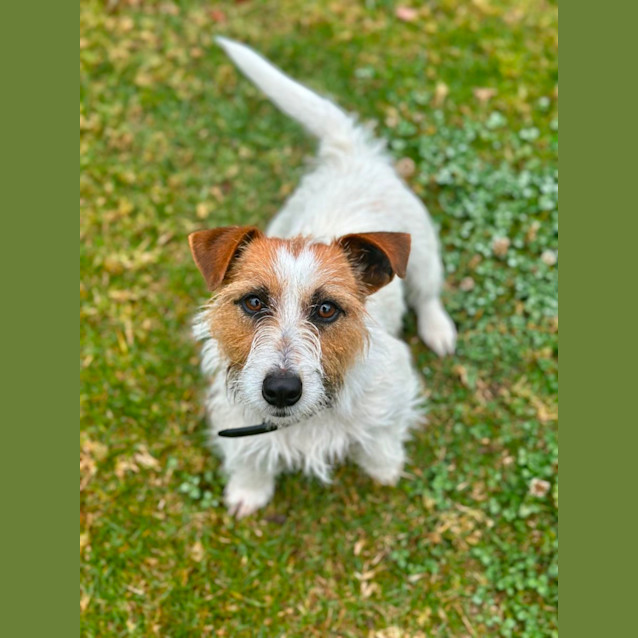 Photo of Stix