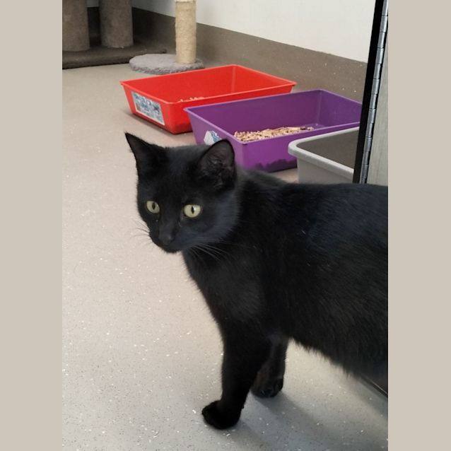 Photo of C1208 Rosie