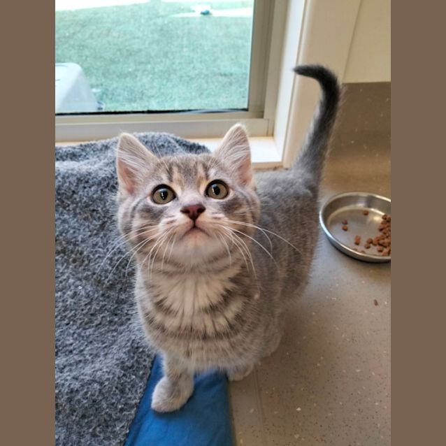 Photo of C1209 Reggie