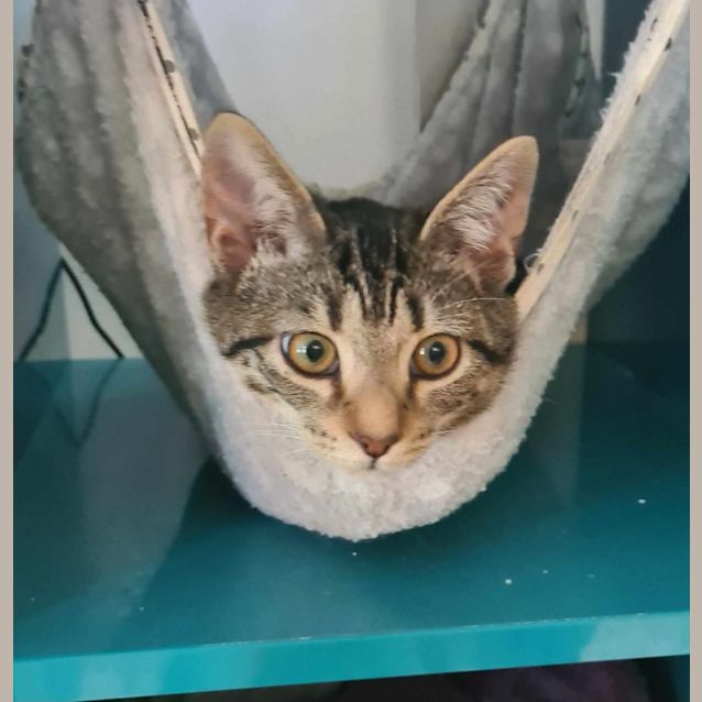 Photo of Minnie