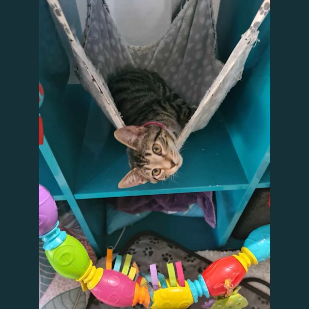 Photo of Minnie
