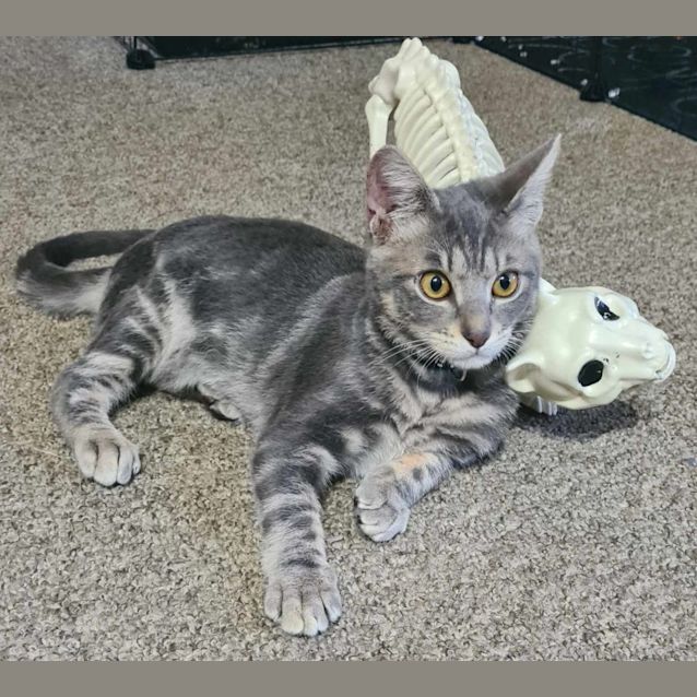 Photo of Remmie