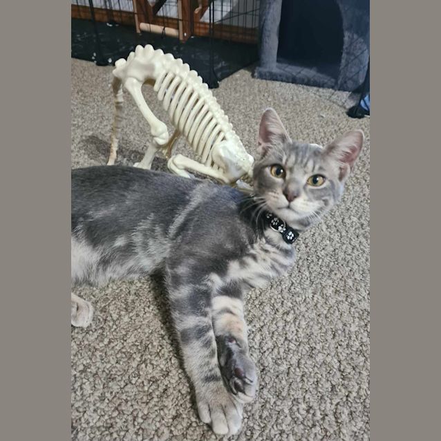 Photo of Remmie