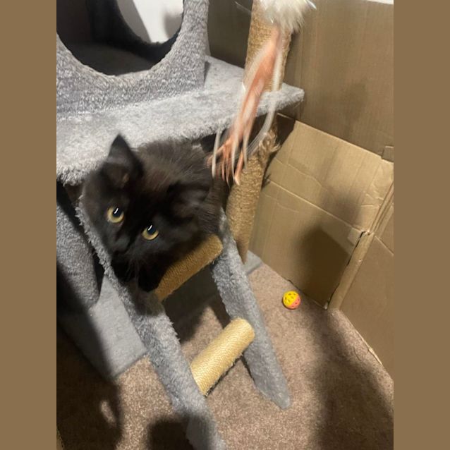 Photo of Sooty