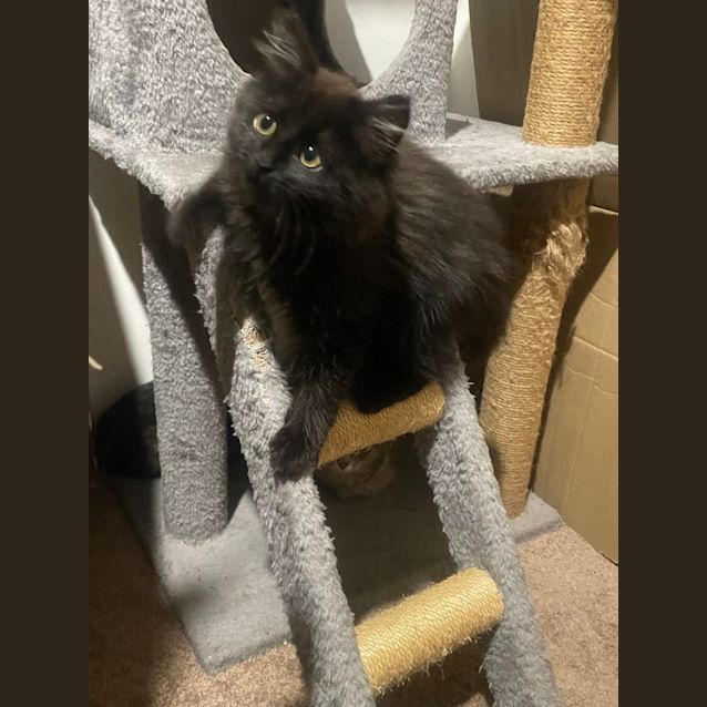 Photo of Sooty