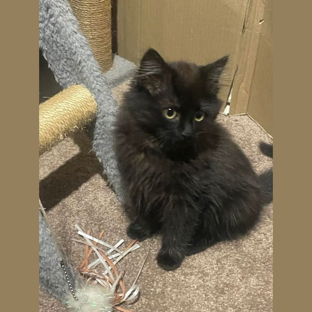 Photo of Sooty