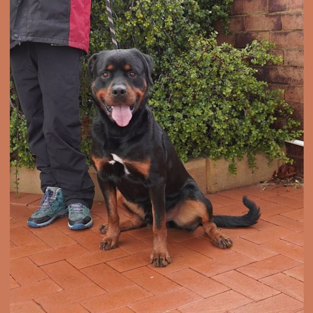 Photo of Onyx
