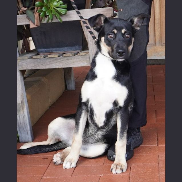Photo of Tofu