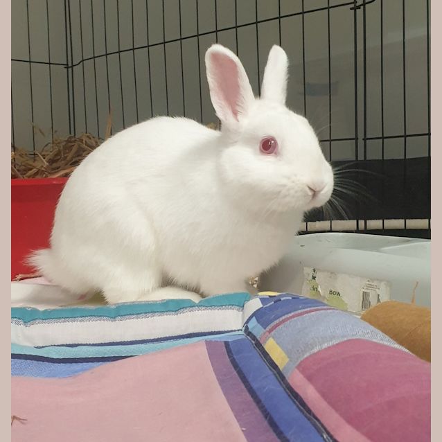 Photo of Lil