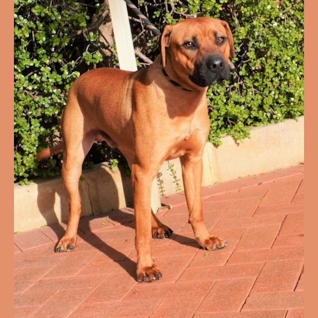 Photo of Maverick