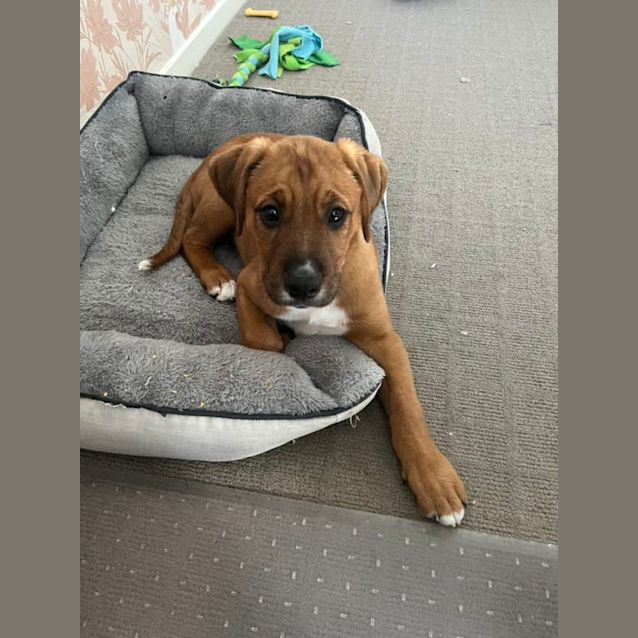 Photo of Marilyn Munroe