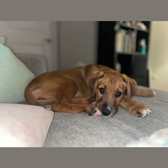 Photo of Marilyn Munroe