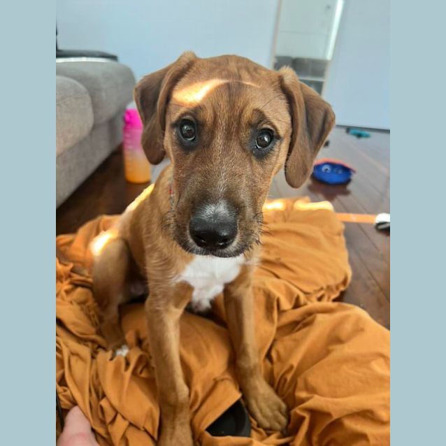 Photo of Marilyn Munroe