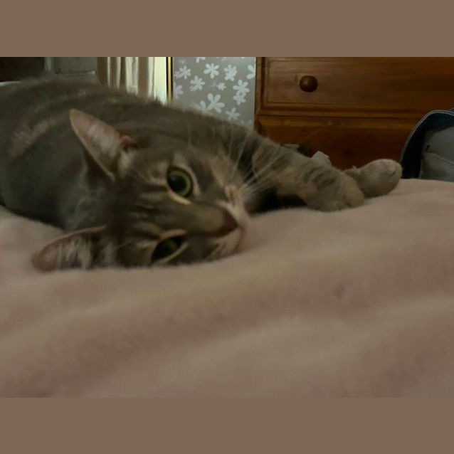 Photo of Casey
