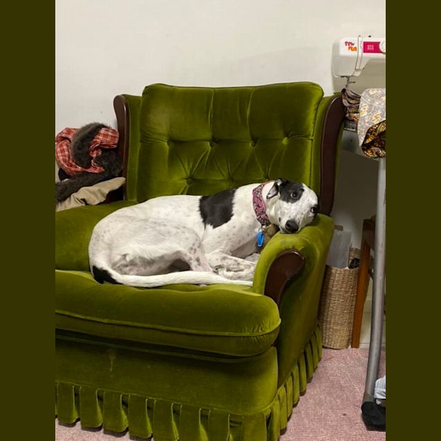 Photo of Queen Minnie 