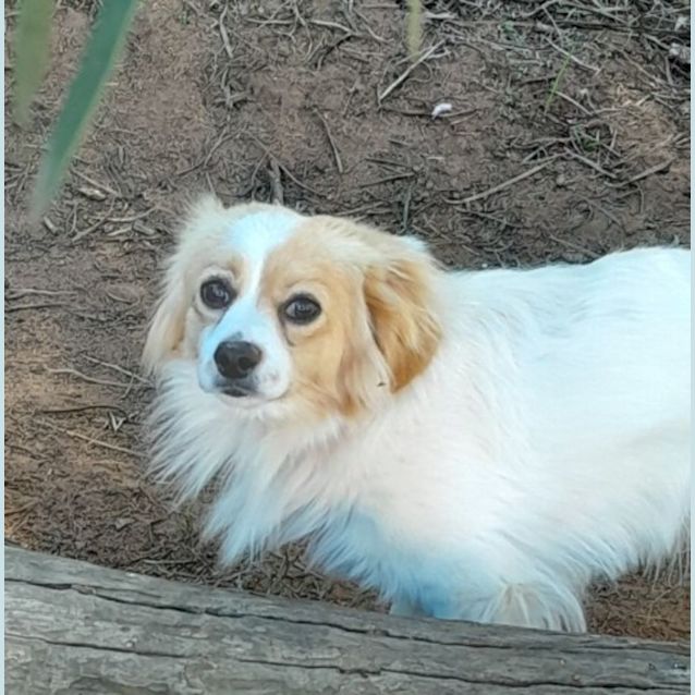 Photo of Tommy Jack