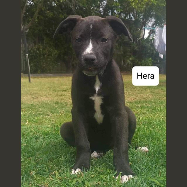 Photo of Hera