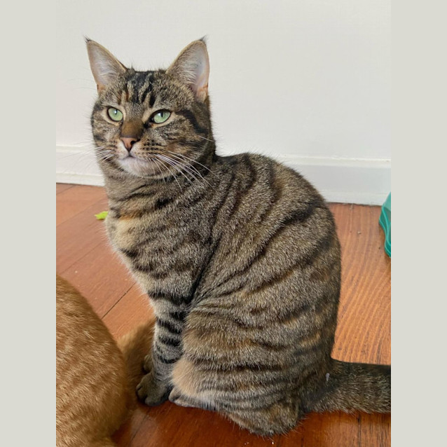Photo of Birdie