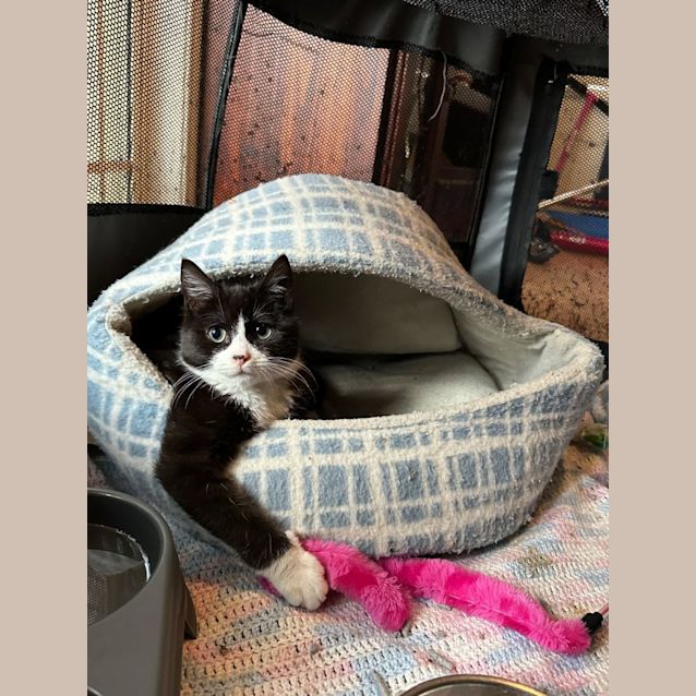 Photo of Fred