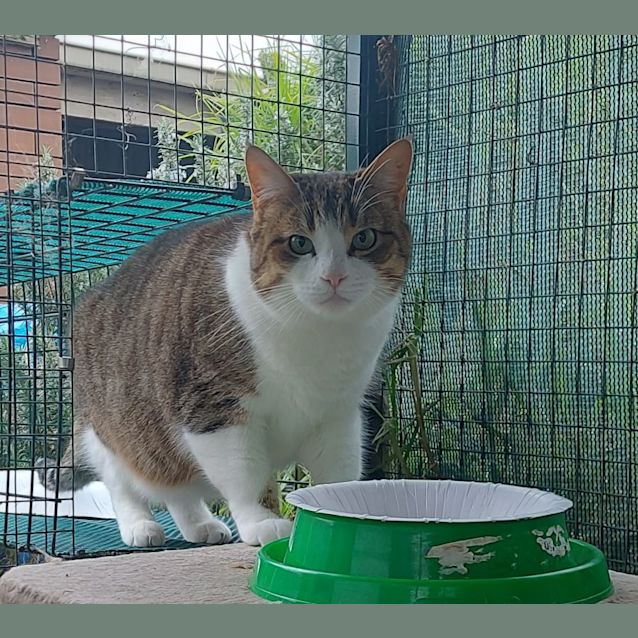 Photo of Scarlett ❤️🌹