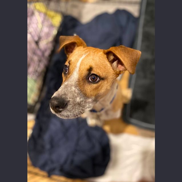 Photo of Etzel