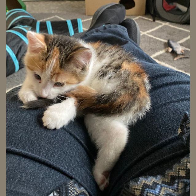 Photo of Tilly