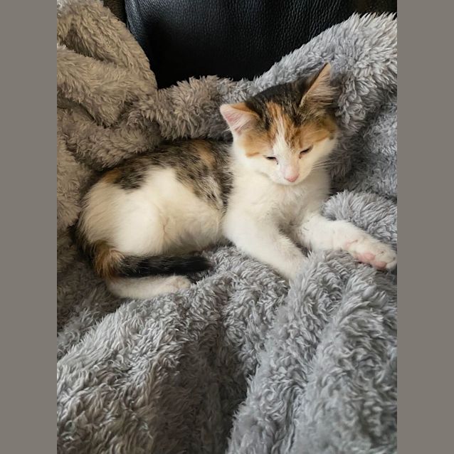 Photo of Tilly