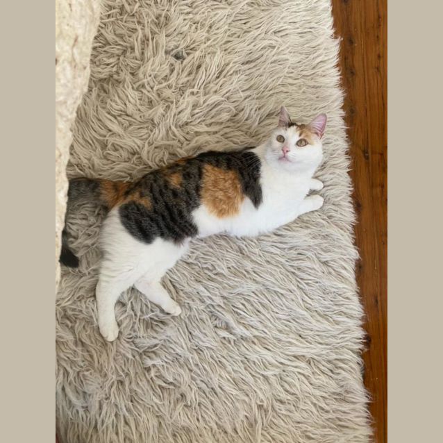 Photo of Lela