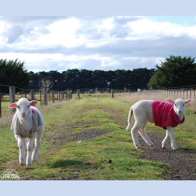 Photo of Daisey And Steffi