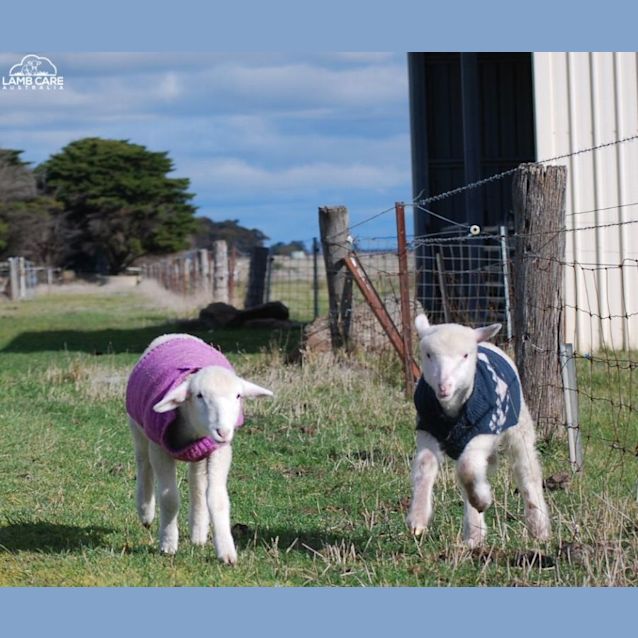 Photo of Richard And Lourdes