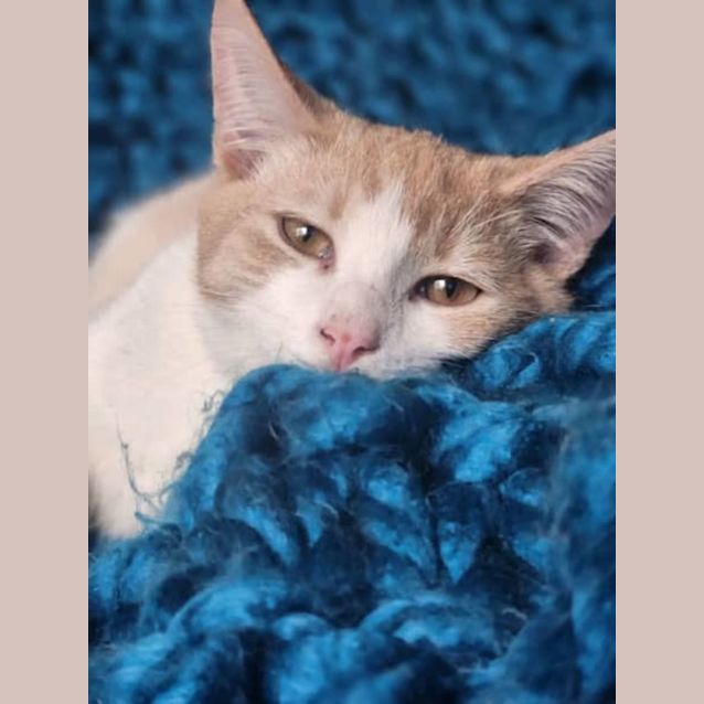 Photo of Teddy Bear Alan