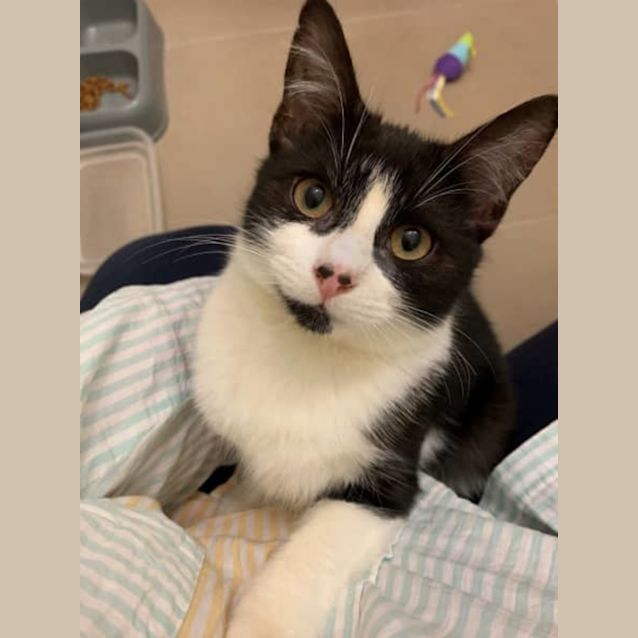 Photo of Adorable Aimee