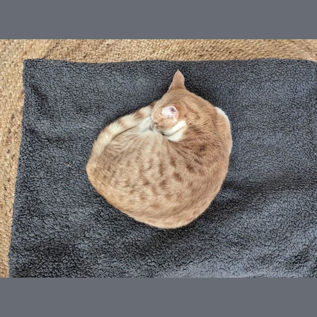 Photo of Charming Chester