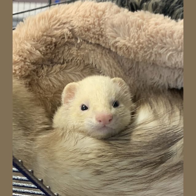 Photo of Lucy