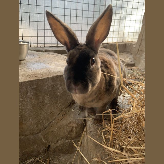Photo of Betty