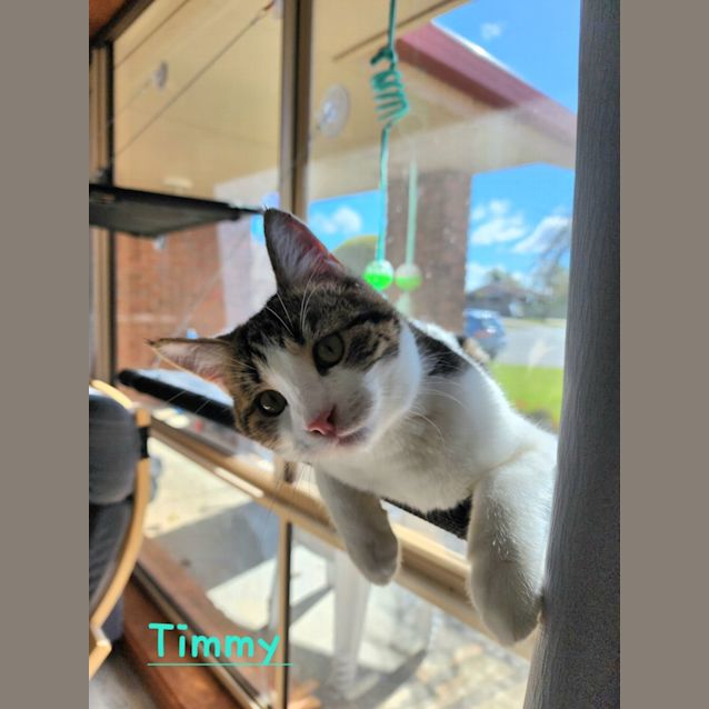 Photo of Timmy 