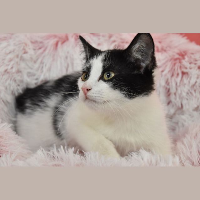 Photo of Rowena