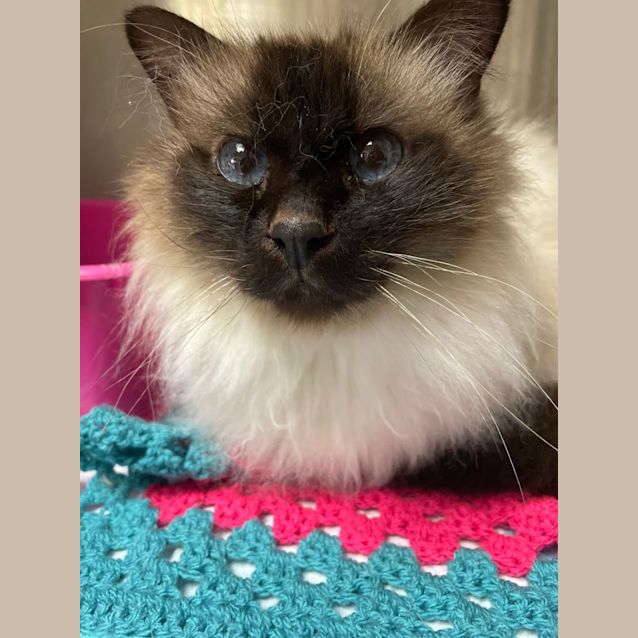 Photo of Tuska