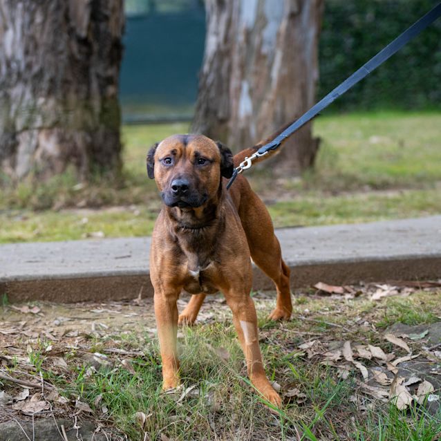 Photo of Coby