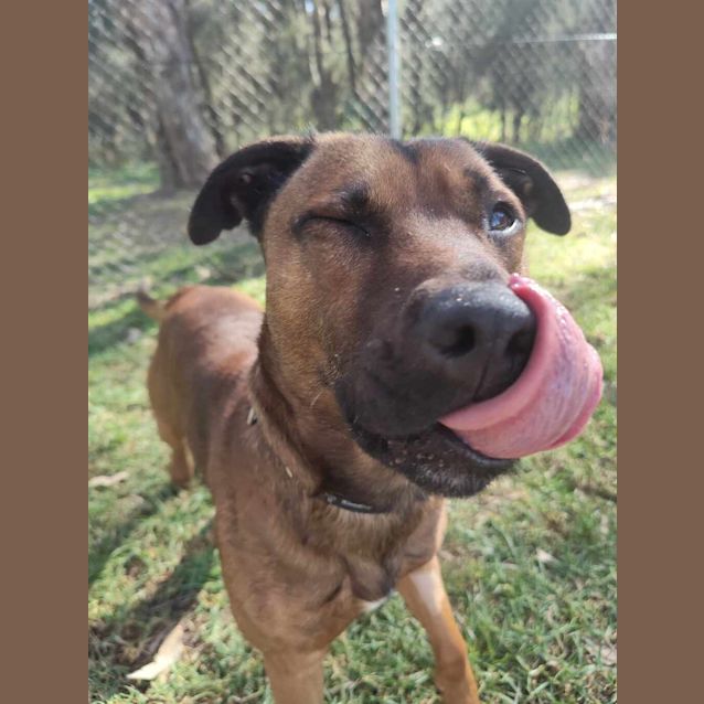 Photo of Coby