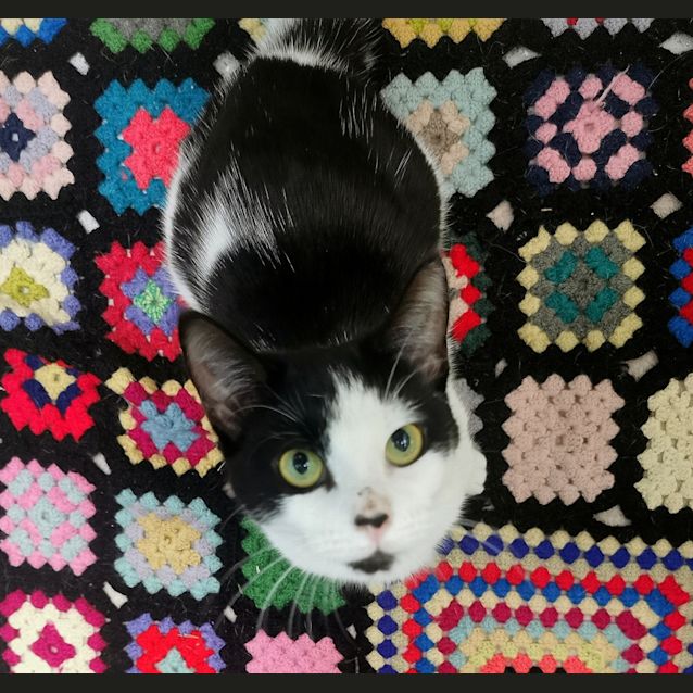 Photo of Lydia