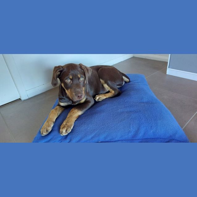 Photo of Beanie