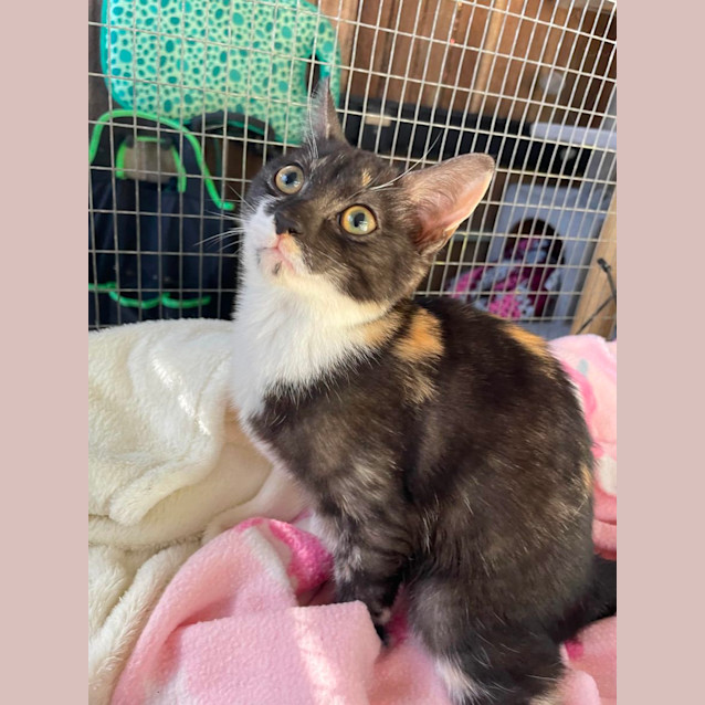 Photo of Matilda