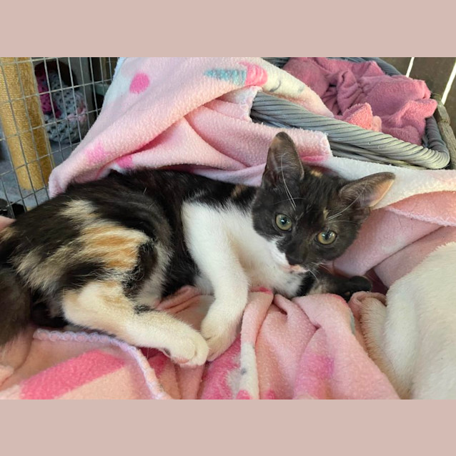 Photo of Matilda