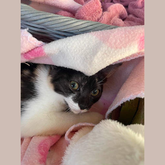Photo of Matilda