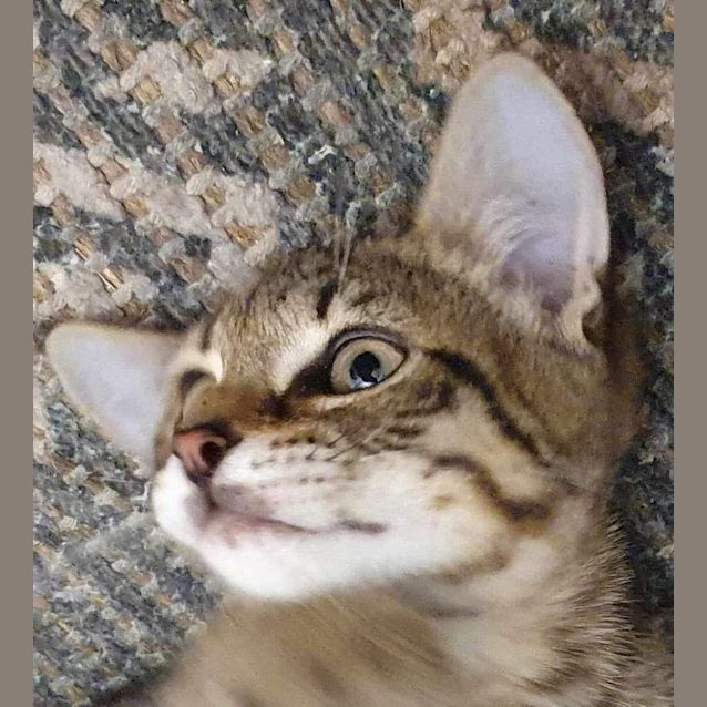 Photo of Moet And Veuve